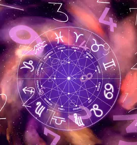 Best-Astrologer
